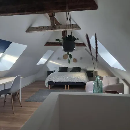 公寓 Chez Clement Et Mathilde -duplex Climatise Hyper Centre , Equipe 圣阿芒·莱斯奥
