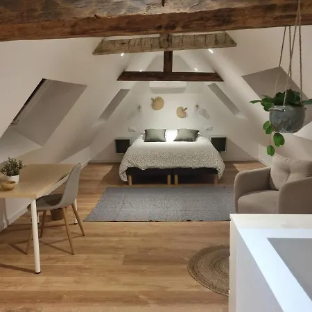 公寓 Chez Clement Et Mathilde -duplex Climatise Hyper Centre , Equipe 圣阿芒·莱斯奥