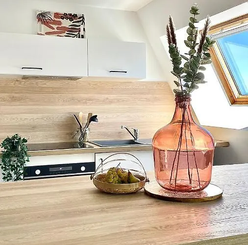 Chez Clément Et Mathilde -duplex Climatisé Hyper Centre , équipé Saint-Amand-les-Eaux