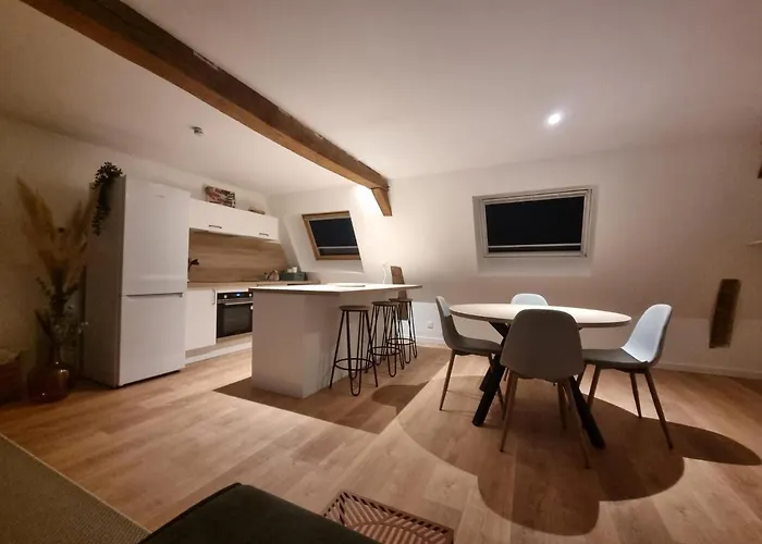 Chez Clément Et Mathilde -duplex Climatisé Hyper Centre , équipé Appartement *