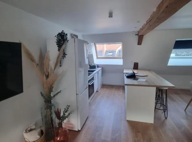 Appartement Chez Clément Et Mathilde -duplex Climatisé Hyper Centre , équipé *