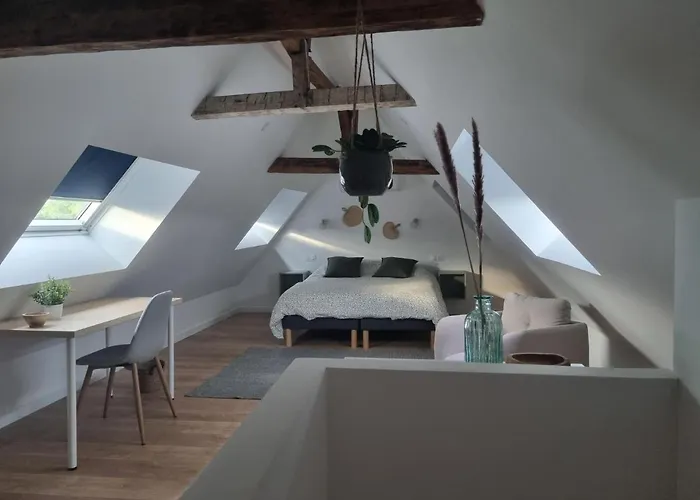 Appartement Chez Clément Et Mathilde -duplex Climatisé Hyper Centre , équipé Saint-Amand-les-Eaux