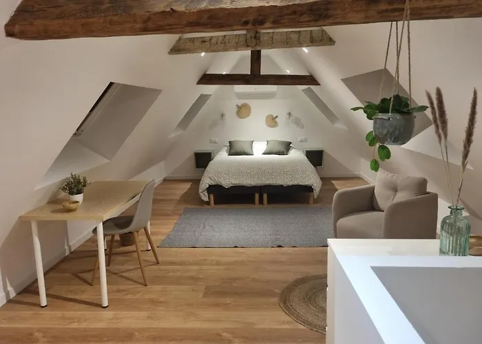 Appartement Chez Clément Et Mathilde -duplex Climatisé Hyper Centre , équipé Saint-Amand-les-Eaux